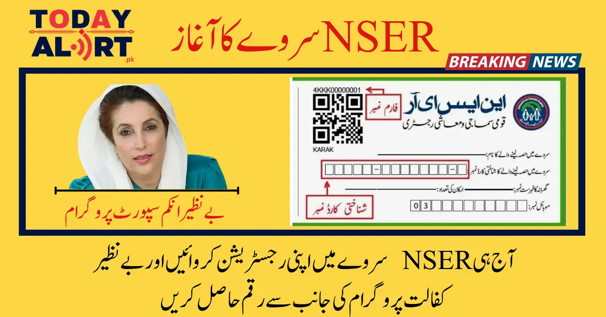 NSER Registration Check by CNIC For BISP New Registration