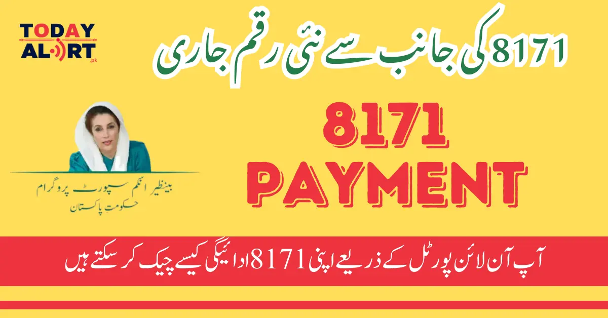 How You Can Check Your 8171 Payment Through Online Portal