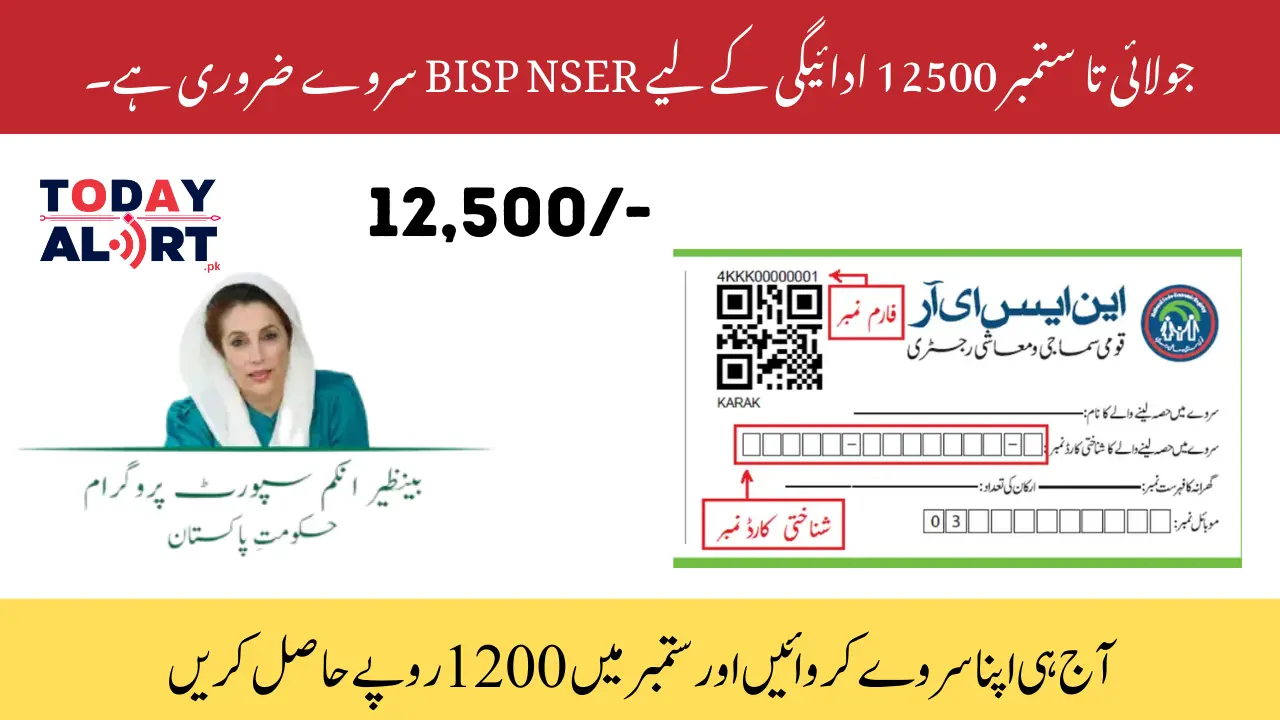 BISP NSER Survey is Necessary For July To September 12500 Payment