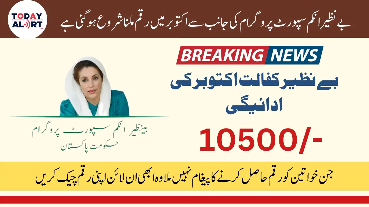 BISP 8171 October Payment 10500 Stipend Check Online by CNIC