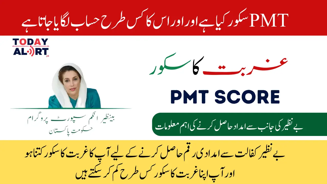 Understanding PMT Score in BISP