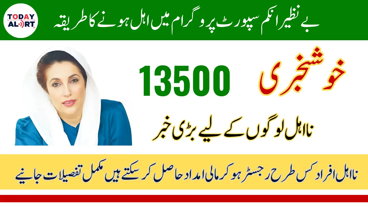 BISP 13500 Ineligibility Registration: Step-by-Step Guide for Ineligible Beneficiaries