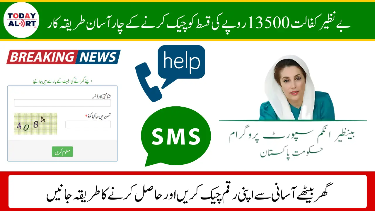 Benazir Kafalat New Registration Status Check Via 8171 Web Portal 2025