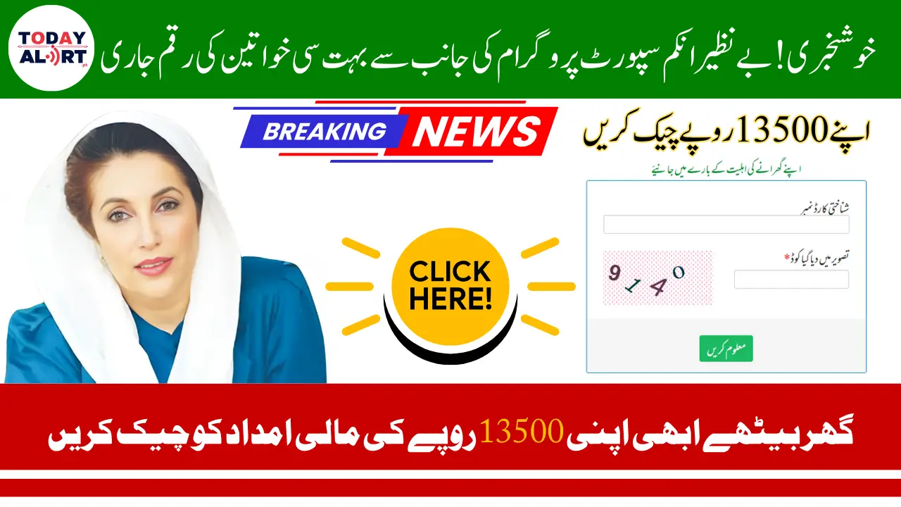 Benazir Kafalat Program 2025 Status Check Online Through 8171 Web Portal