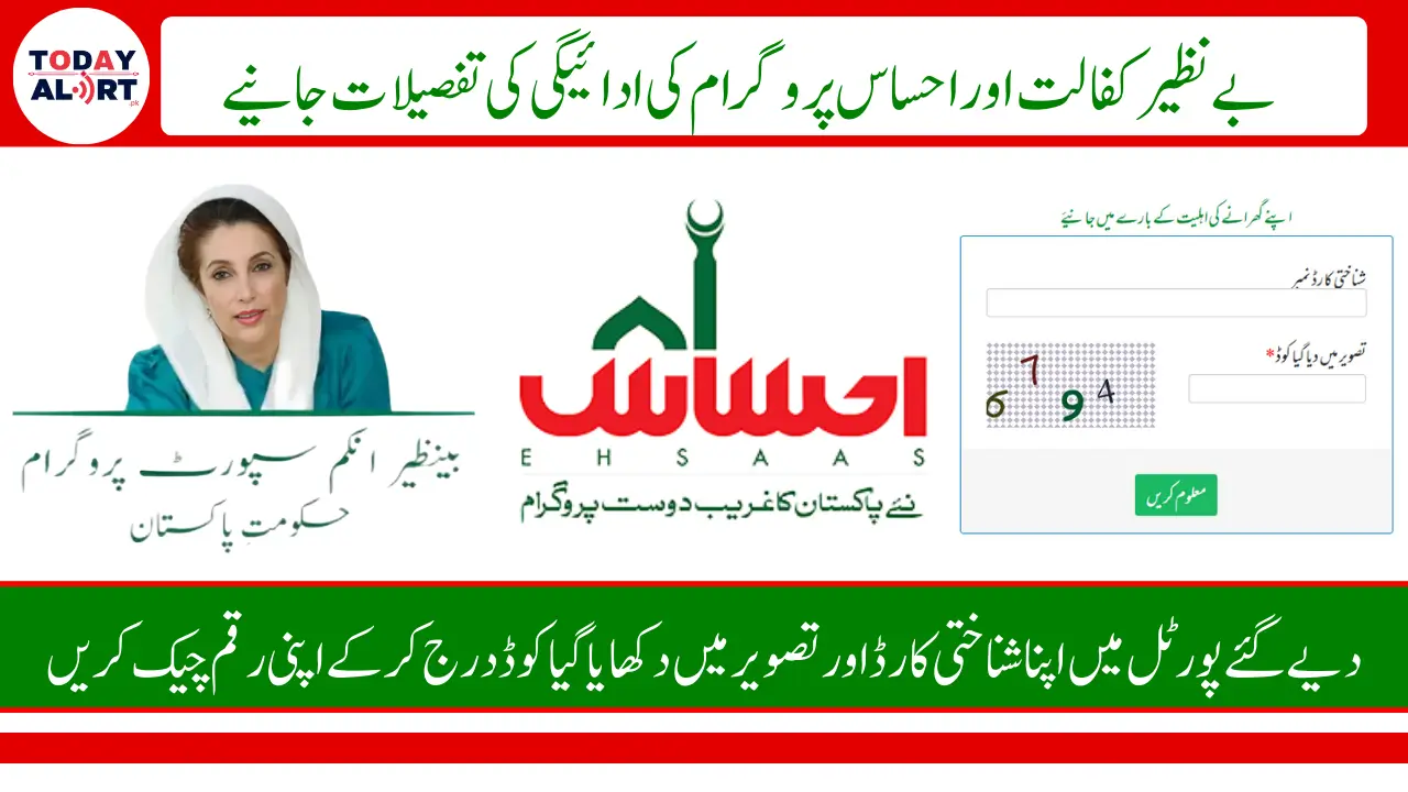 8171 Ehsaas Program 2025 Registration and Payment Check