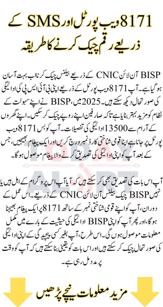 Bisp Check Balance Online By Cnic 2025 Through 8171 Portal & SMS