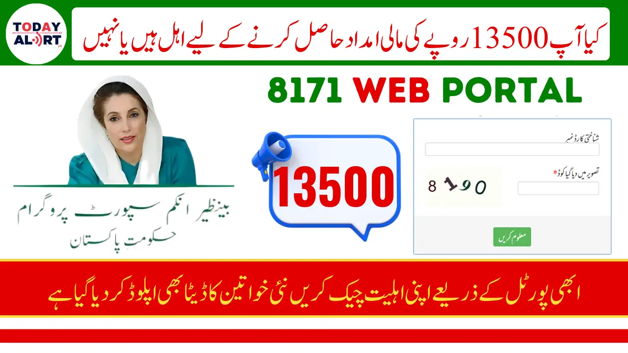 BISP Payment Check Online Through 8171 Portal and SMS Service